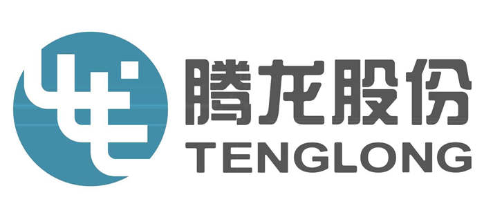 腾龙股份 logo